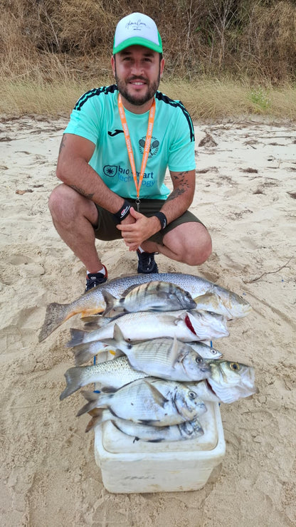 Metamorphosis 1ª Edición