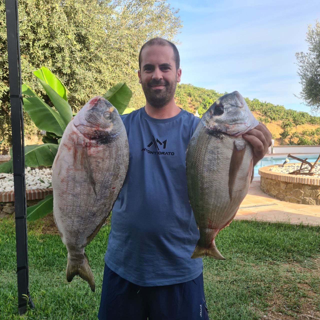 Metamorphosis Edición Doradas a Surfcasting