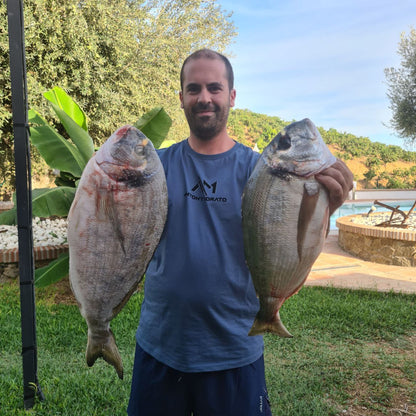 Metamorphosis Edición Doradas a Surfcasting