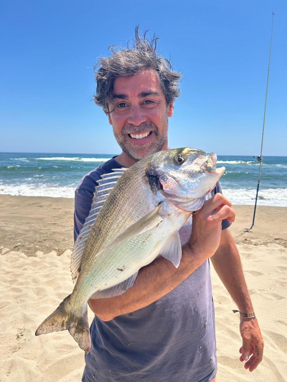 Metamorphosis Edición Doradas a Surfcasting