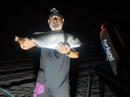 Metamorphosis Edición Doradas a Surfcasting