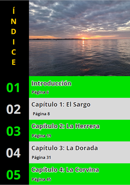 Ebook Los Secretos de los Peces