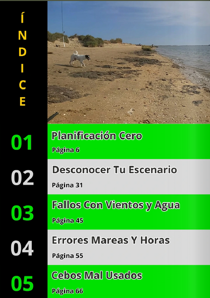 Ebook Los 50 Errores del Surfcasting