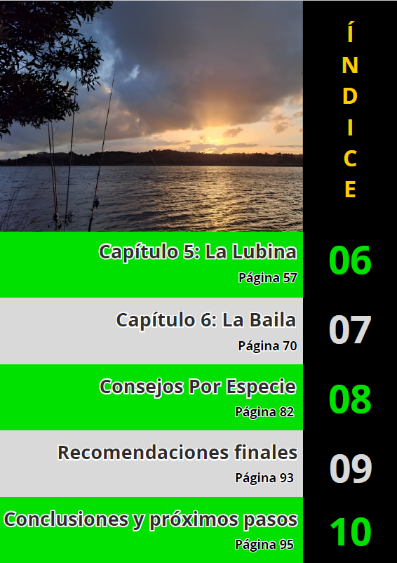 Ebook Los Secretos de los Peces
