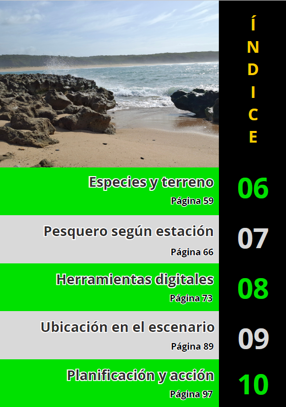 Ebook Los Secretos de los Spots