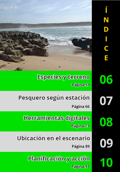 Ebook Los Secretos de los Spots