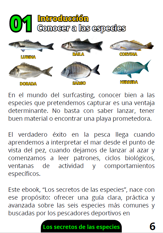 Ebook Los Secretos de los Peces