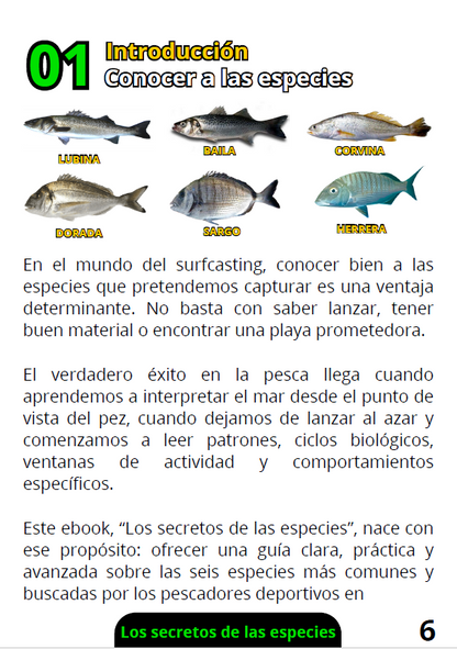 Ebook Los Secretos de los Peces