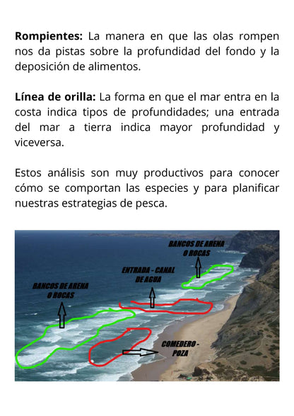 Ebook de Pesca de la Dorada