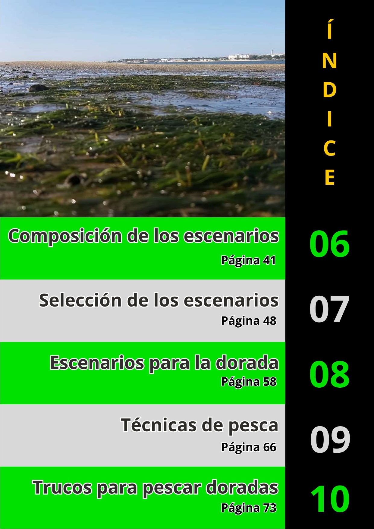 Ebook de Pesca de la Dorada