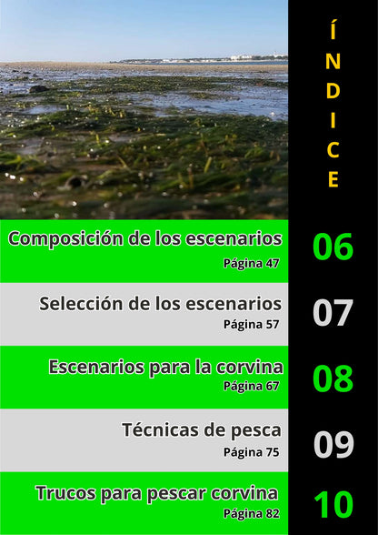 Ebook de Pesca de la Corvina