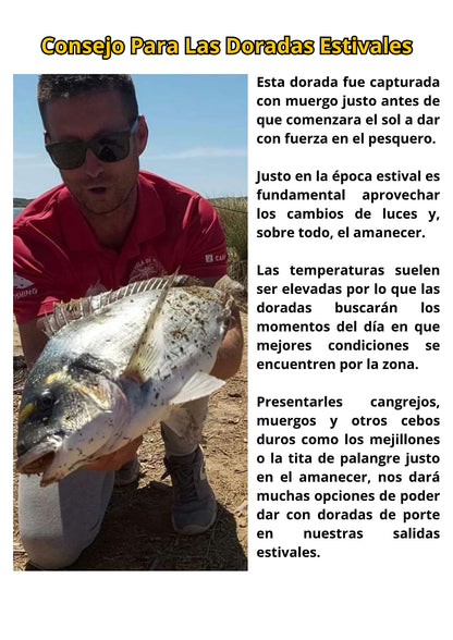 Ebook de Pesca de la Dorada