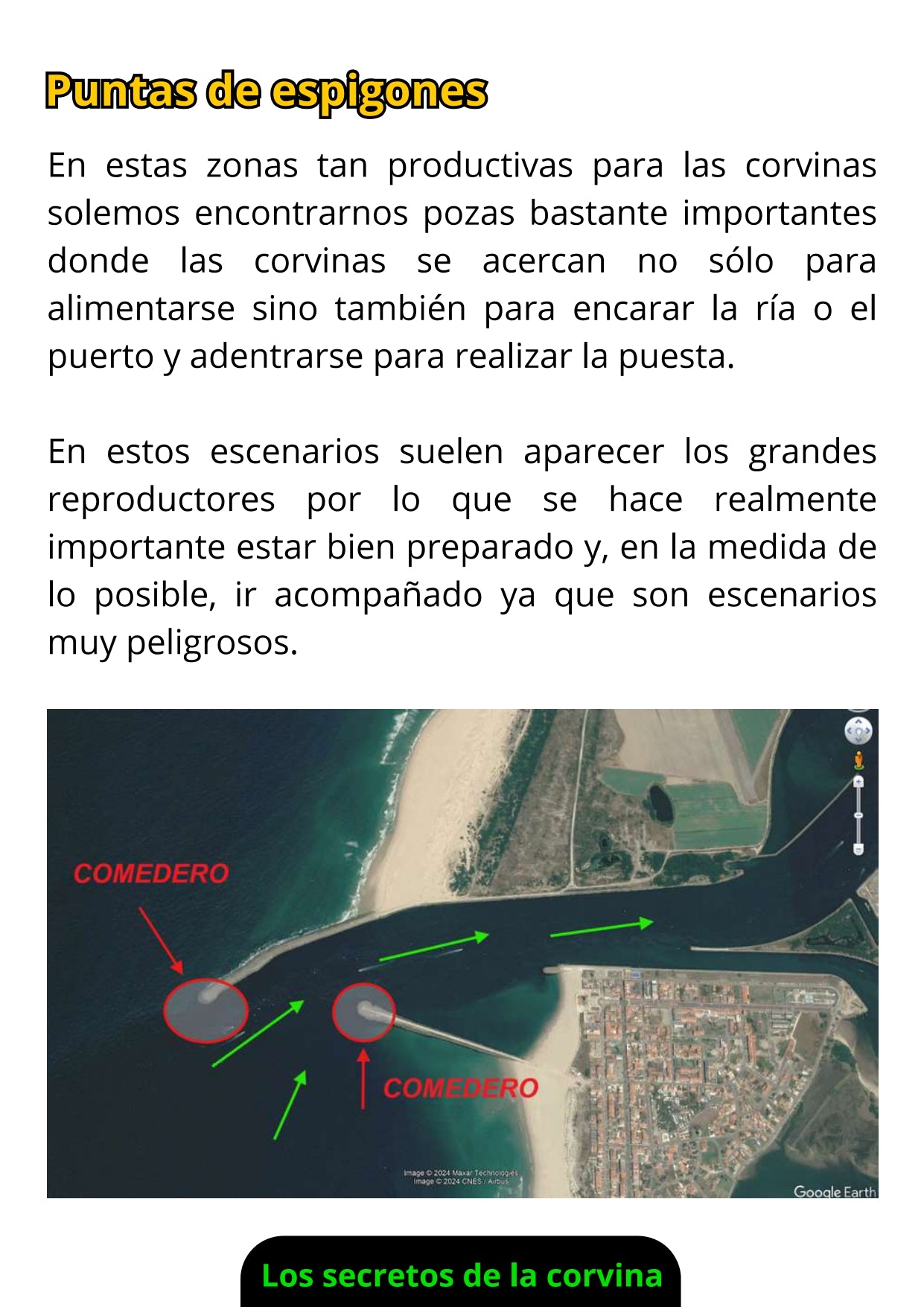 Ebook de Pesca de la Corvina