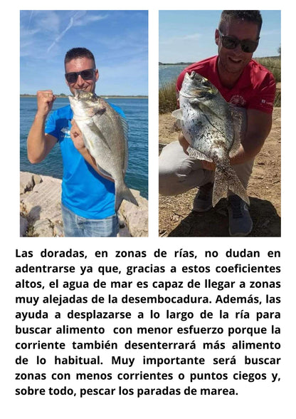 Ebook de Pesca de la Dorada