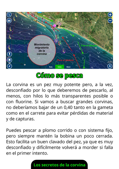 Ebook de Pesca de la Corvina