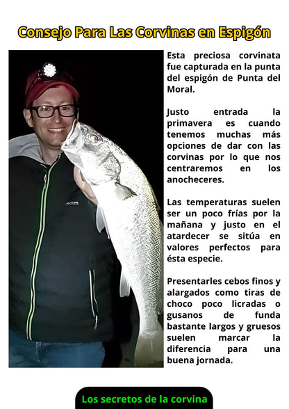 Ebook de Pesca de la Corvina