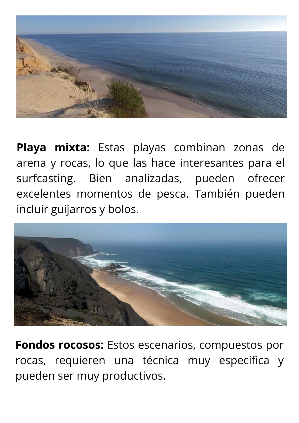 Ebook de Pesca de la Dorada